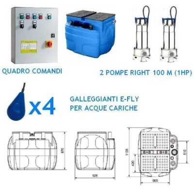 Stazione automatica di sollevamento Ebara D TANK 600 con 2 pompe Right 100M e quadro comando