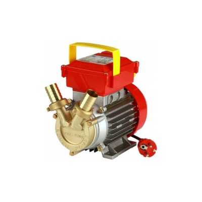 Pompa per travaso Rover 25CE HP 0,80