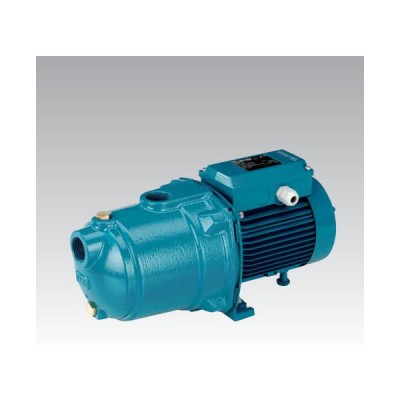 Pompa Centrifuga Calpeda MGPM 205 1,00 Hp Monofase